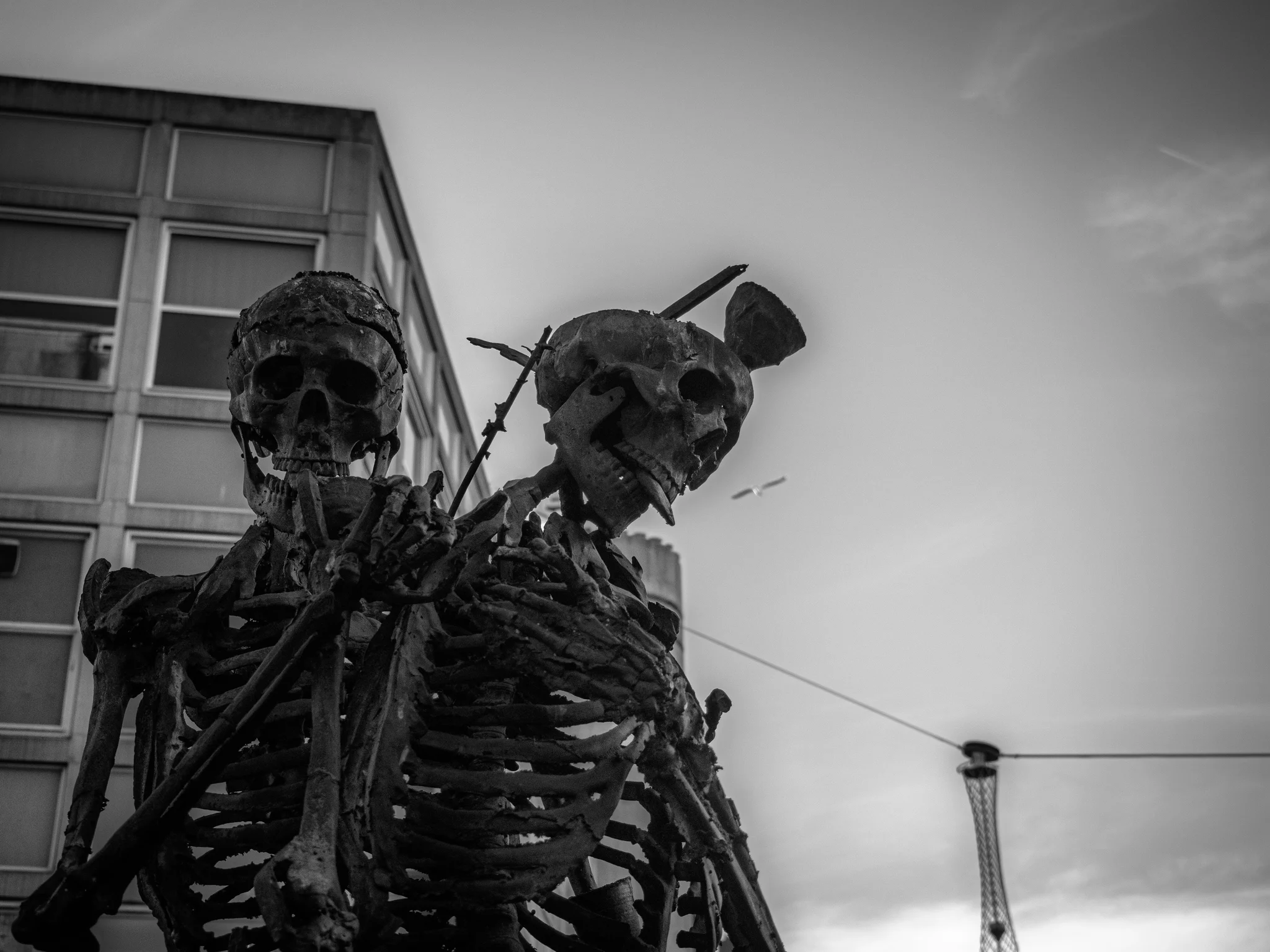 desolado 18