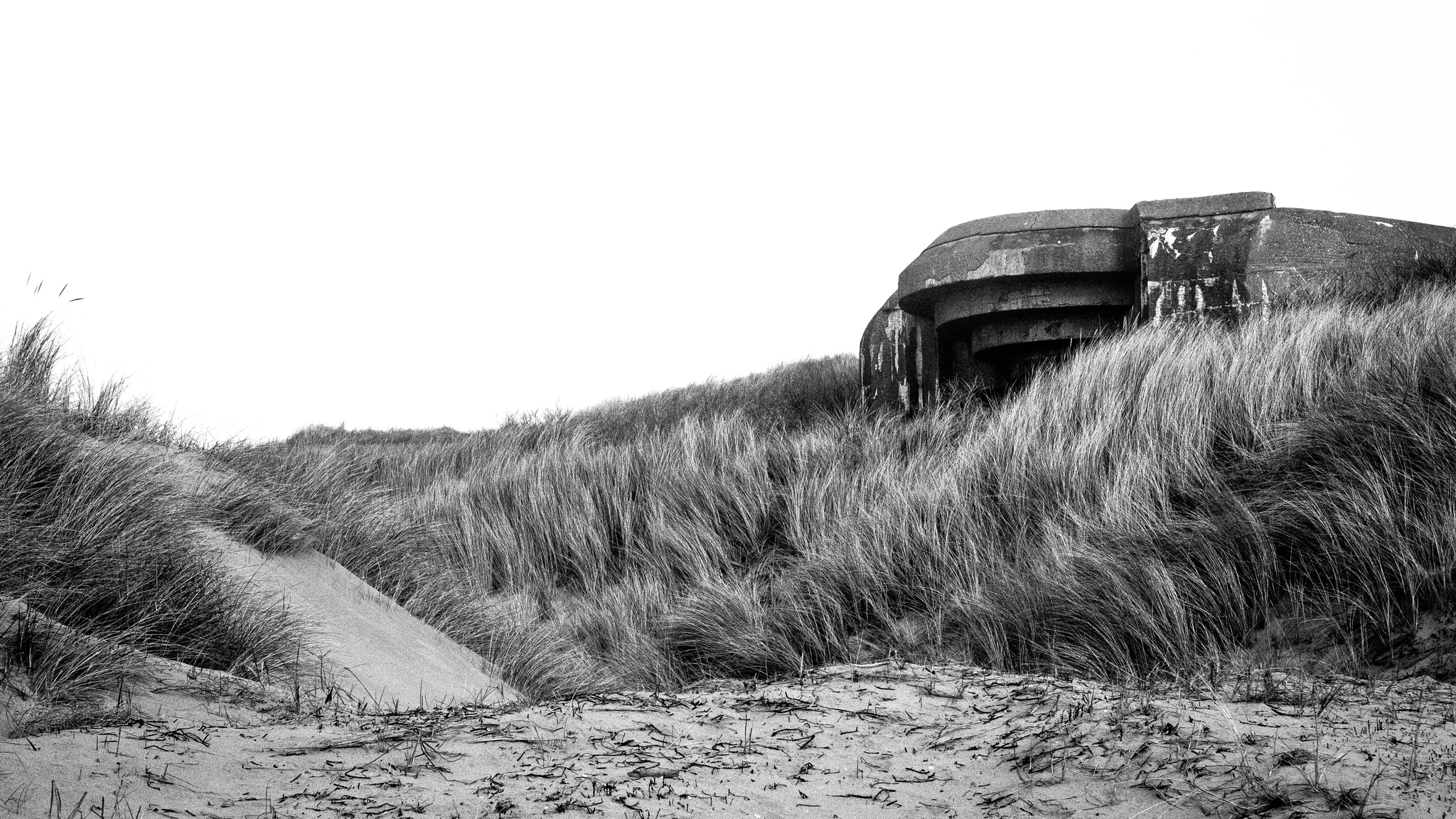 desolado 4