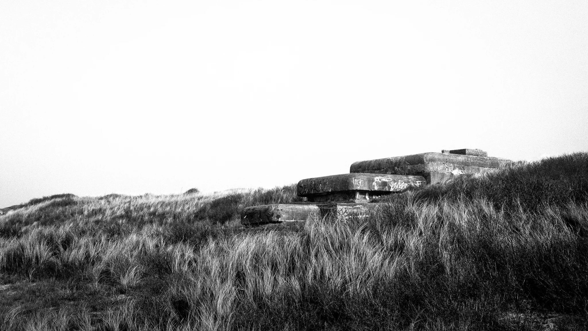 desolado 5