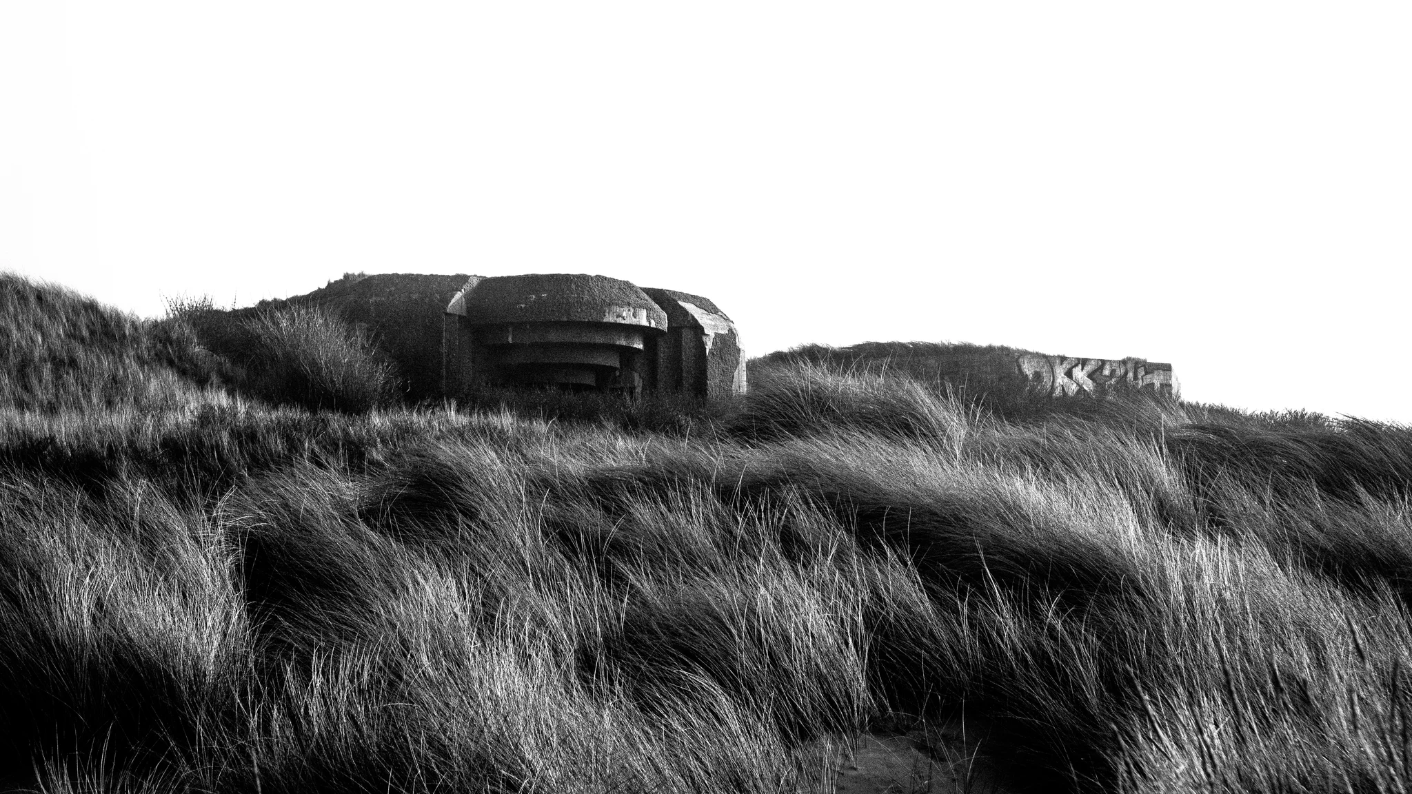 desolado 8