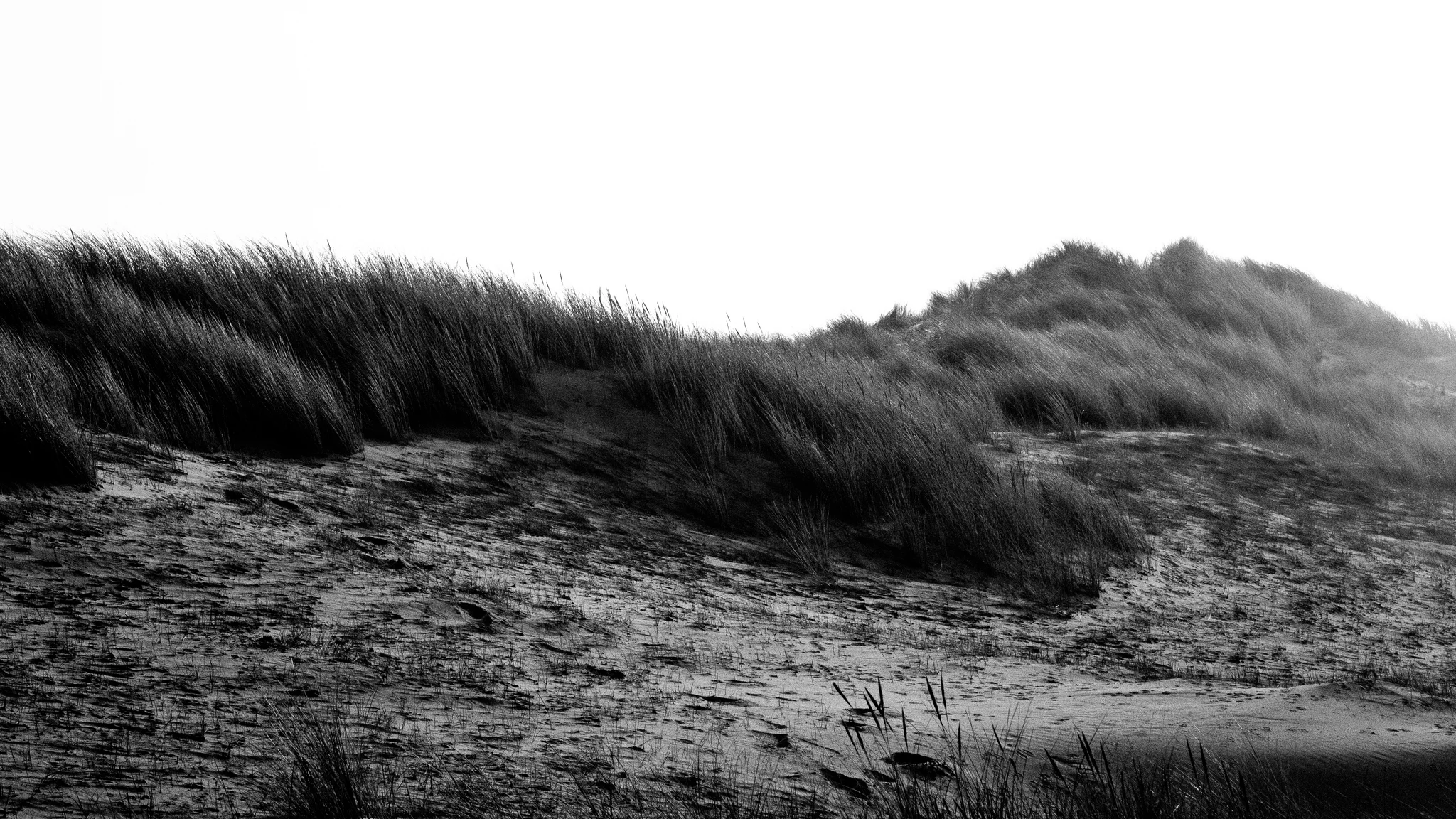 desolado 9