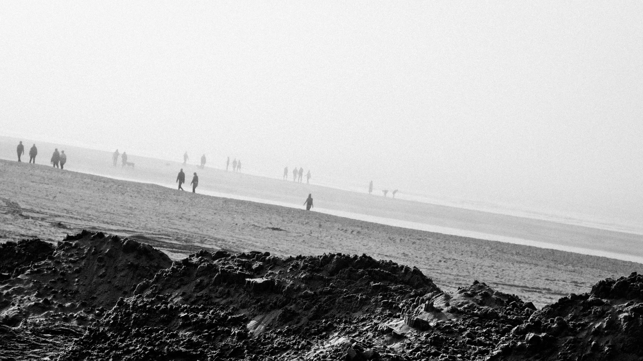 desolado 12