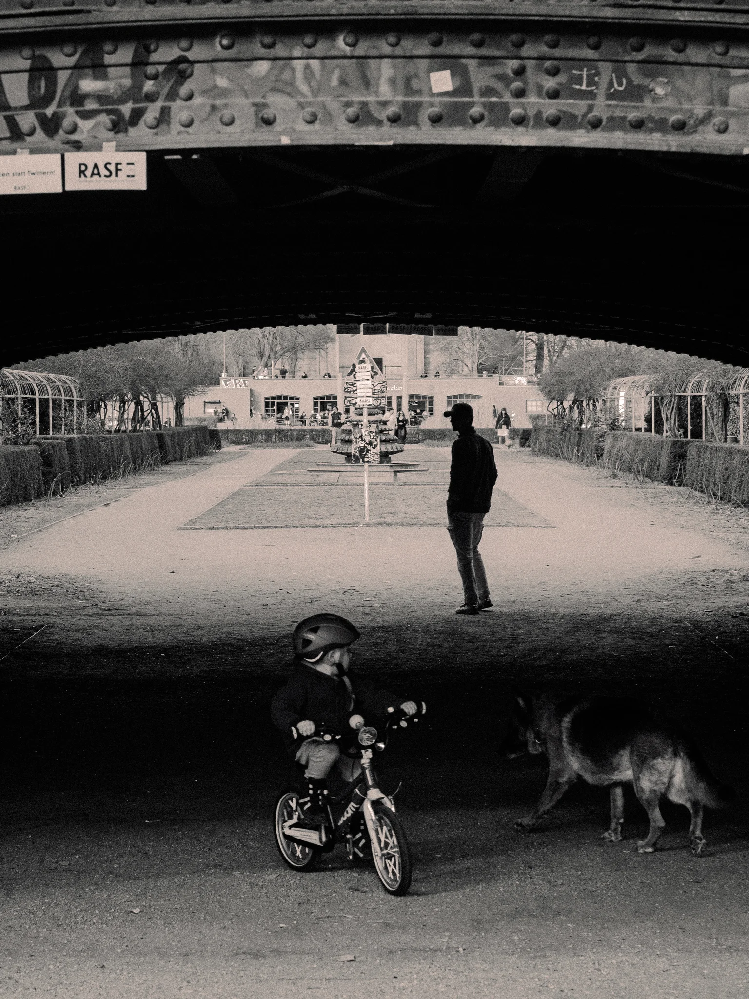 desolado 7