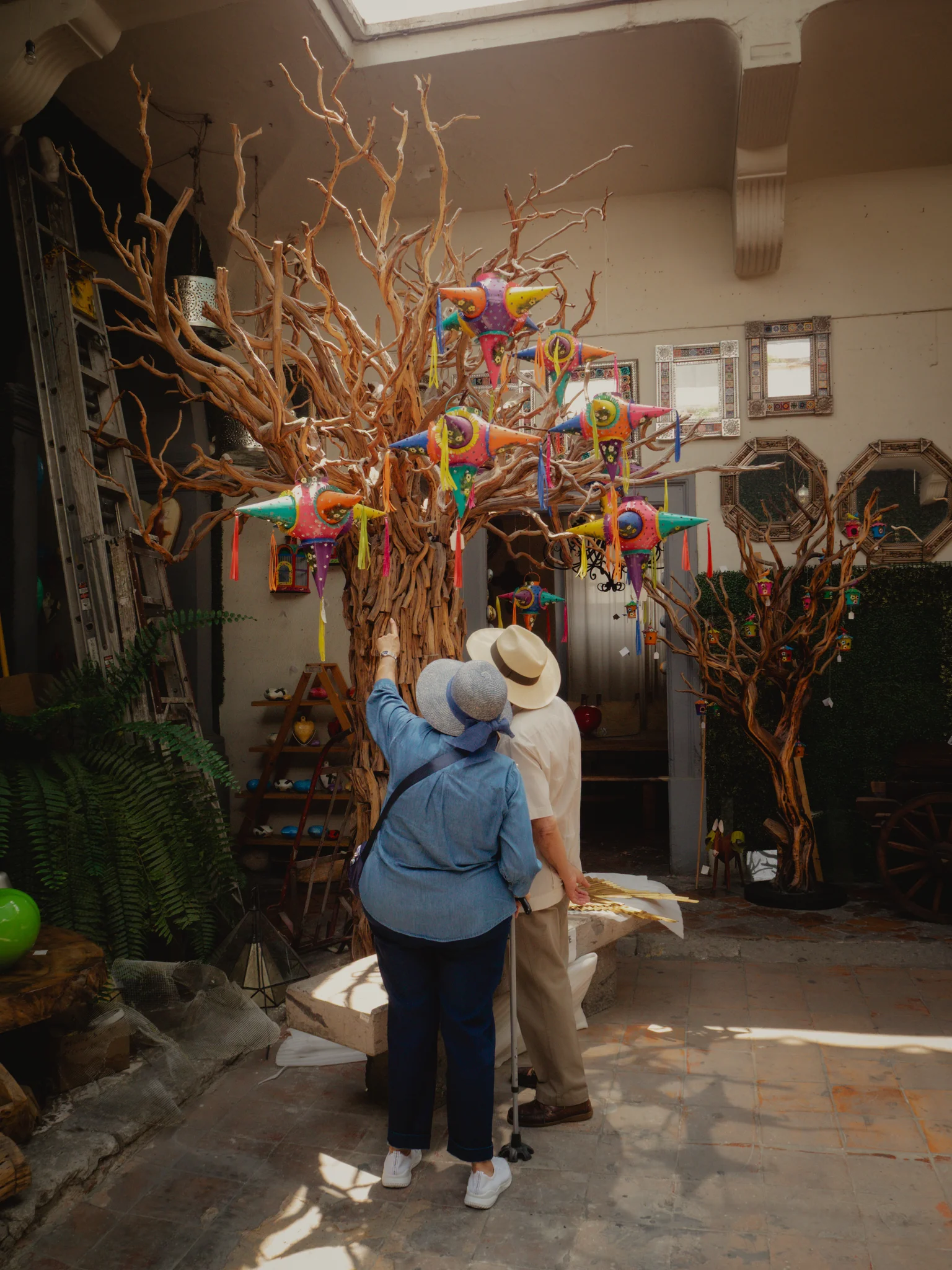 Tlaquepaque 5